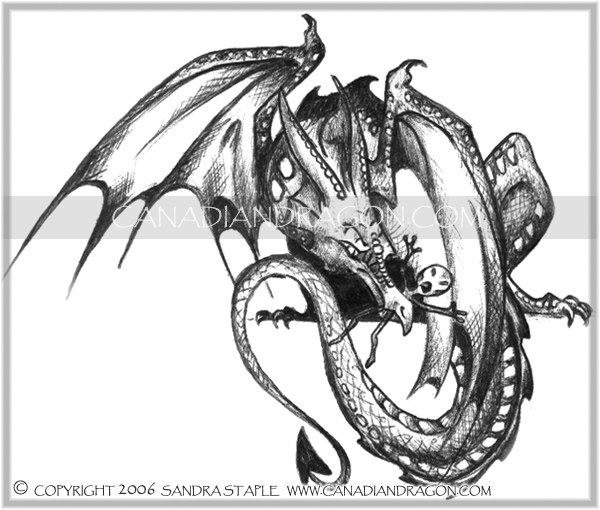 Canadian Dragon Sketch