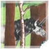 Gray Unicorn