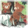 Baby Bears