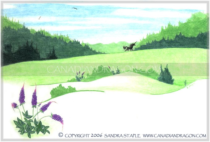 Unicorn Children's Book Illustration