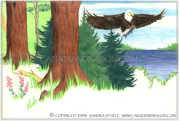 Unicorn Children's Book Illustration