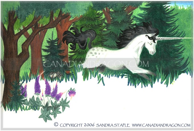 Unicorn Children's Book Illustration