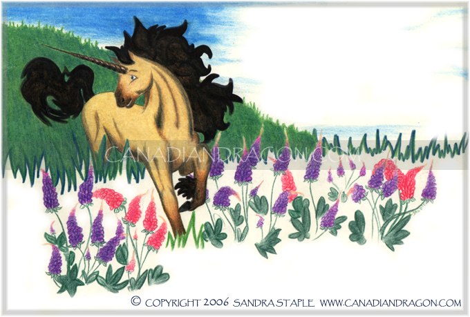 Unicorn Children's Book Illustration
