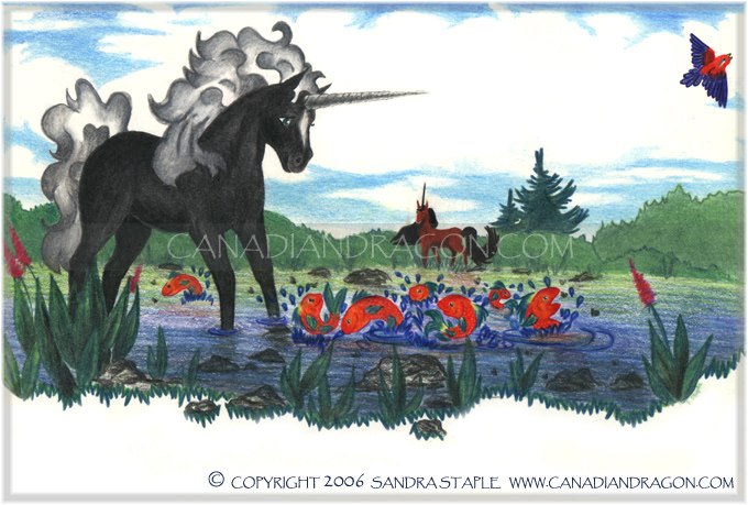 Unicorn Children's Book Illustration