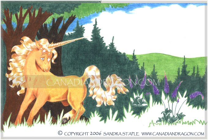 Unicorn Children's Book Illustration