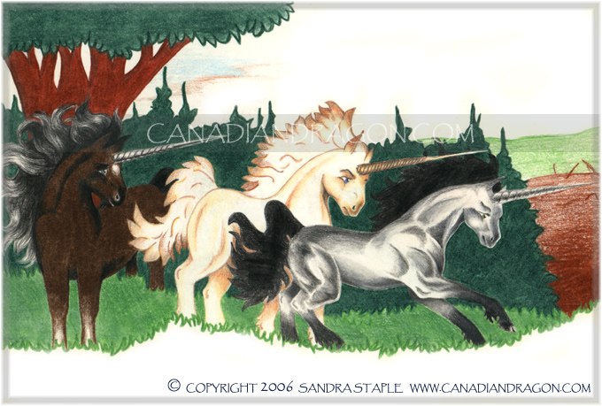 Unicorn Children's Book Illustration