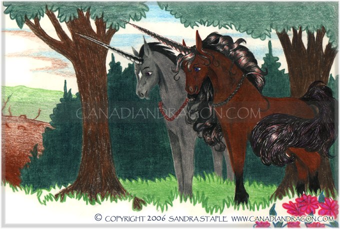 Unicorn Children's Book Illustration