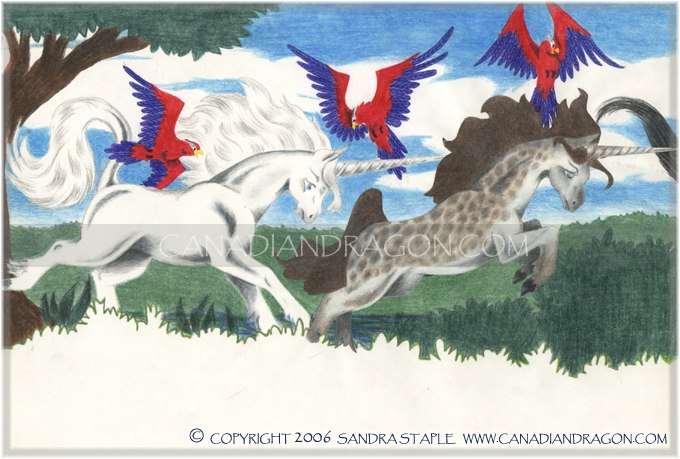 Unicorn Children's Book Illustration