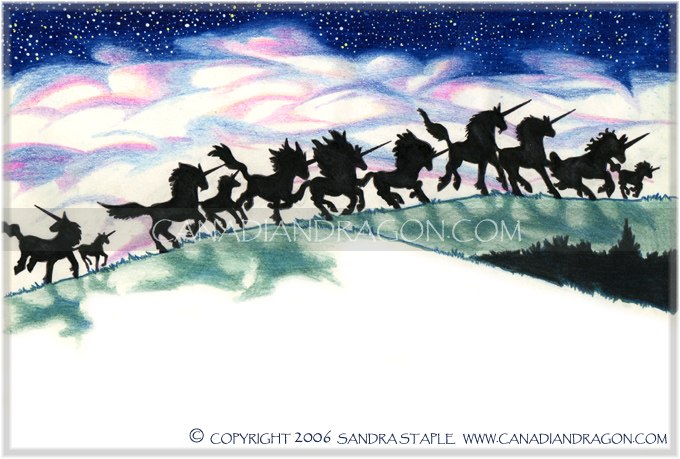 Unicorn Children's Book Illustration