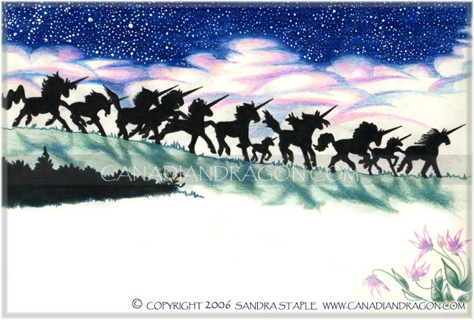 Unicorn Children's Book Illustration
