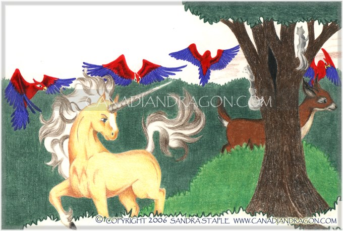 Unicorn Children's Book Illustration