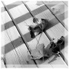 Leaves on Deck