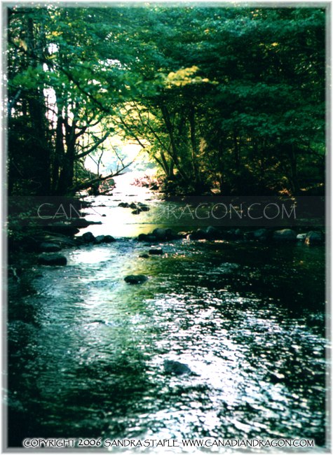 River into the Petpeswick