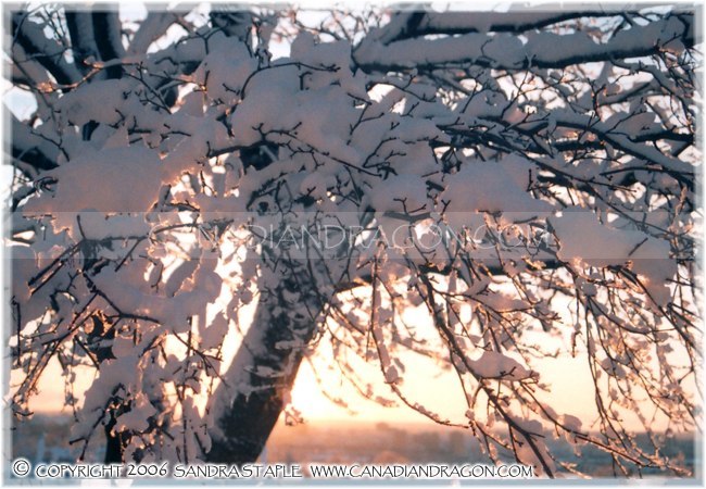 A Snowy Sunset