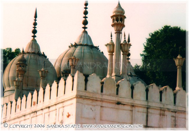 Red Fort Pillars