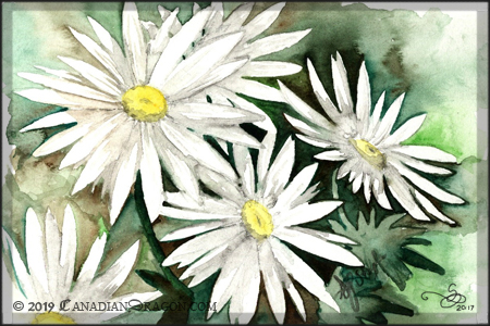 Summer Daisies Watercolor Painting