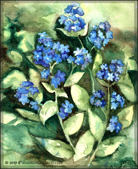 Forget-me-nots Watercolor Painting