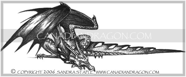 Canadian Dragon Sketch