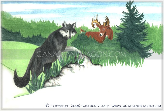 Unicorn Children's Book Illustration